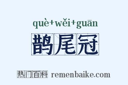 鹊尾冠是什么意思的图片